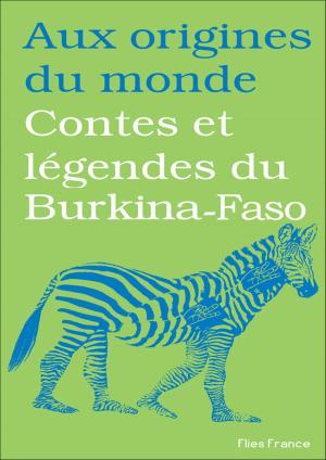 Cover of the book Contes et légendes du Burkina-Faso by Djamal Arezki, Aux origines du monde