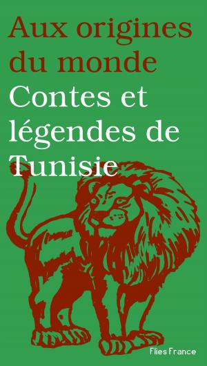 Cover of the book Contes et légendes de Tunisie by Sonia Koskas, Aux origines du monde