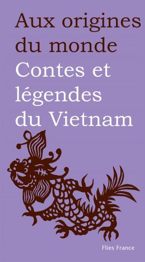 Cover of the book Contes et légendes du Vietnam by Françoise Diep, François Moïse Bamba, Hassane Kassi Kouyate, Aux origines du monde