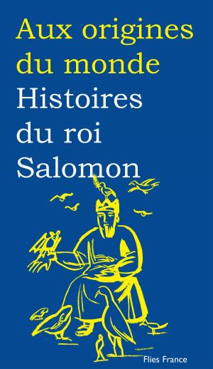 Cover of the book Histoires du roi Salomon by Marcel Van Den Berg, Aux origines du monde