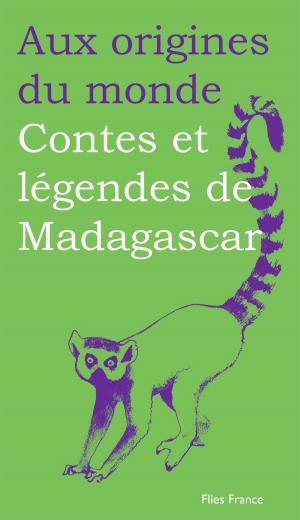 Cover of the book Contes et légendes de Madagascar by Rahila Hassane, Aux origines du monde