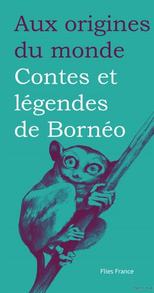 Cover of the book Contes et légendes de Bornéo by Galina Kabakova, Aux origines du monde