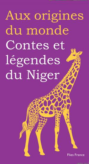 Book cover of Contes et légendes du Niger