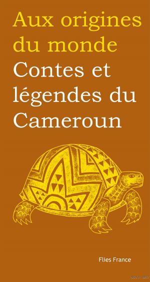 Cover of the book Contes et légendes du Cameroun by Nora Aceval, Nadine Decourt, Aux origines du monde