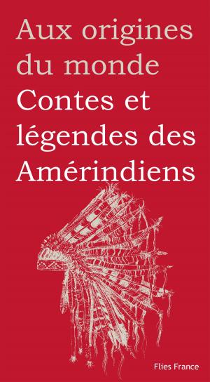 Cover of the book Contes et légendes des Amérindiens by Perla Petrich, Aux origines du monde