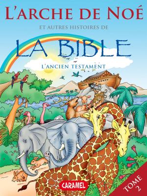 Cover of the book L'arche de Noé et autres histoires de la Bible by Sally-Ann Hopwood, Bedtime Stories
