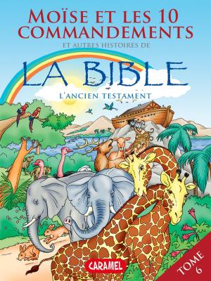 Cover of the book Moïse, les 10 commandements et autres histoires de la Bible by Veronica Podesta, Monica Pierazzi Mitri, Small But Useful