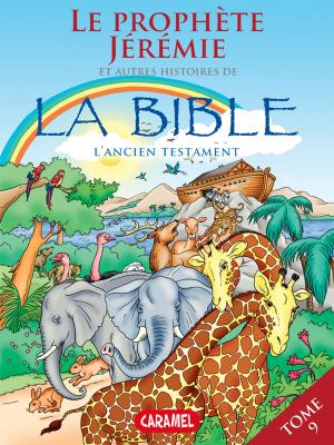 Cover of the book Le prophète Jérémie et autres histoires de la Bible by Joël Muller