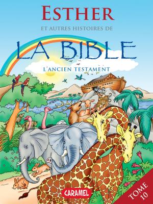 Cover of the book Esther et autres histoires de la Bible by Sally-Ann Hopwood, Bedtime Stories