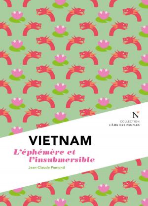 Book cover of Vietnam : L'éphémère et l'insubmersible