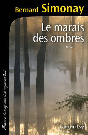 Cover of the book Le Marais des ombres by Jean-Michel Thibaux