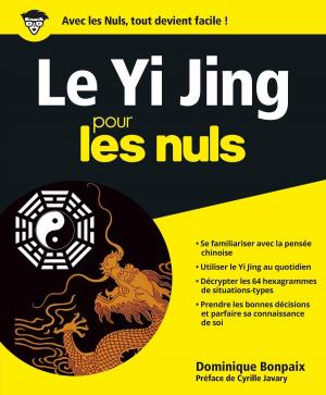 Cover of Yi Jing Pour les Nuls