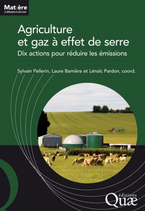 Cover of the book Agriculture et gaz à effet de serre by Charles Baldy, Cornelius J. Stigter