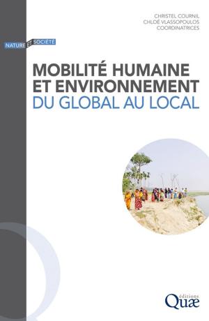 Cover of the book Mobilité humaine et environnement by Sylvie Huet, Emmanuel Jolivet, Antoine Messéan