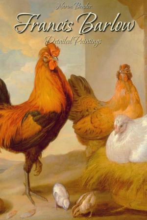 Cover of the book Francis Barlow: Detailed Paintings by Derek Spender