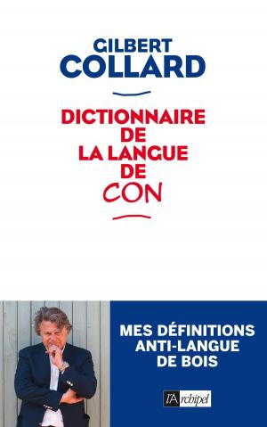 Cover of the book Dictionnaire de la langue de con by Michel Ferrari