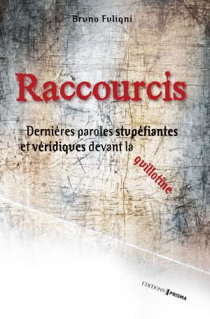 Cover of the book Raccourcis by Irene Chauvy