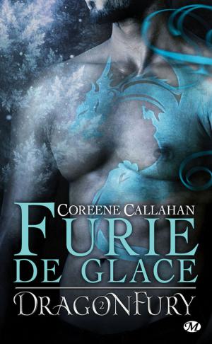 Book cover of Furie de glace