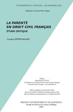 Cover of the book La parenté en droit civil français by Patrice Hilt