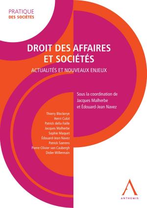 Cover of the book Droit des affaires et sociétés by Thierry Driesse, Anthemis