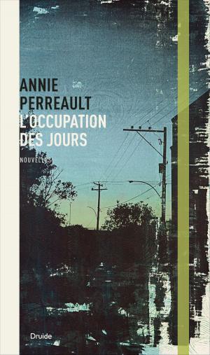 Cover of the book L'occupation des jours by Maryse Rouy