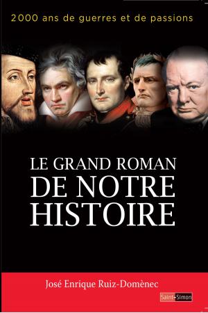 Book cover of Le grand roman de notre histoire