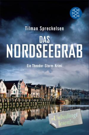 Book cover of Das Nordseegrab