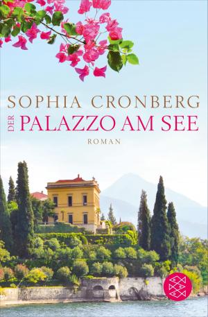 Cover of the book Der Palazzo am See by Savannah DelGardo