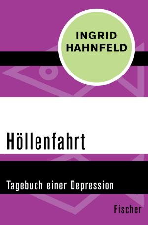Cover of the book Höllenfahrt by Elmar Wiesendahl