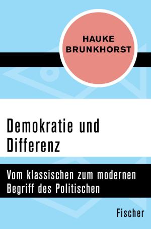 Cover of the book Demokratie und Differenz by Hermann Burger