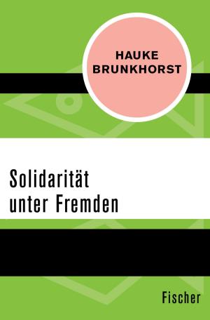 Cover of the book Solidarität unter Fremden by Wilhelm Bitter