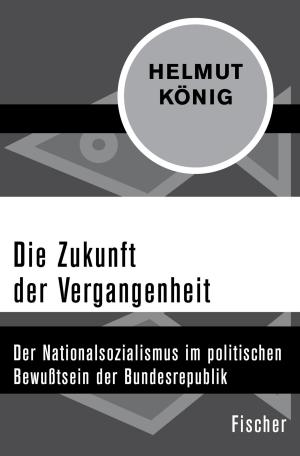 Cover of the book Die Zukunft der Vergangenheit by Otto Flake, Peter Härtling