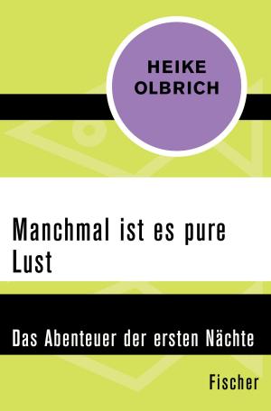Cover of the book Manchmal ist es pure Lust by Luise Rinser