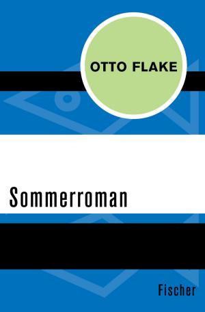 Cover of the book Sommerroman by Cheryl Benard, Edit Schlaffer