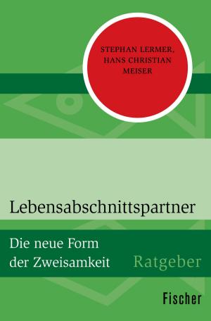 Cover of the book Lebensabschnittspartner by Ernst Robert Curtius
