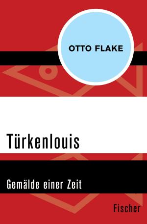 Cover of the book Türkenlouis by Fritjof Capra