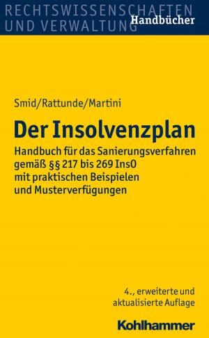 Cover of the book Der Insolvenzplan by Martin Kriele