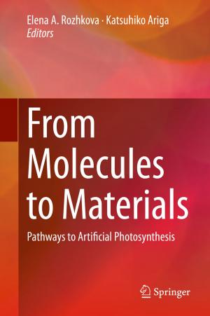 Cover of the book From Molecules to Materials by 