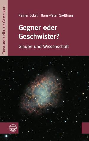 Cover of the book Gegner oder Geschwister? by Christoph Markschies