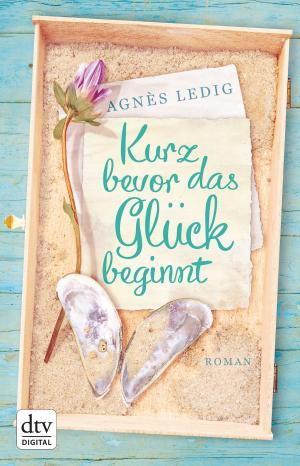 Cover of the book Kurz bevor das Glück beginnt by Susanne Goga