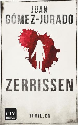 Cover of the book Zerrissen by Sarah J. Maas
