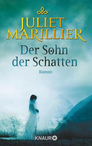 Book cover of Der Sohn der Schatten