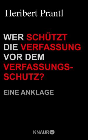 Cover of the book Wer schützt die Verfassung vor dem Verfassungsschutz? by L. S. Anderson