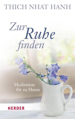 Cover of the book Zur Ruhe finden by Daniel Pittet