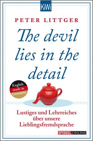 Cover of the book The devil lies in the detail by Helge Schneider