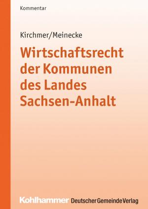 Cover of the book Wirtschaftsrecht der Kommunen des Landes Sachsen-Anhalt by Gerd Möller, Jens Bebensee