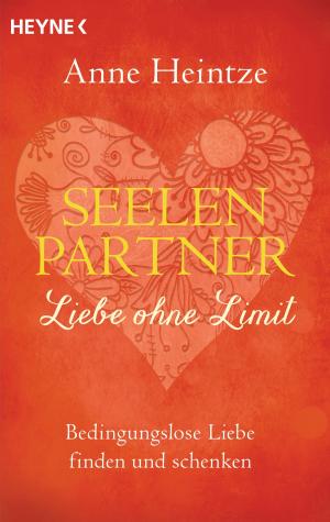 Cover of the book Seelenpartner - Liebe ohne Limit by Georg Huber