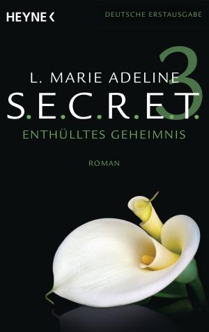 Cover of the book SECRET by Anke Willers