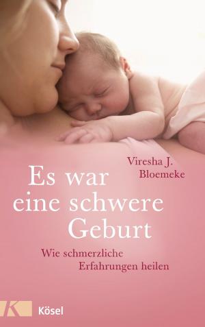Cover of the book Es war eine schwere Geburt by Niklaus Brantschen SJ, Pia Gyger