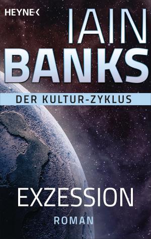 Cover of the book Exzession by Anna Stroud